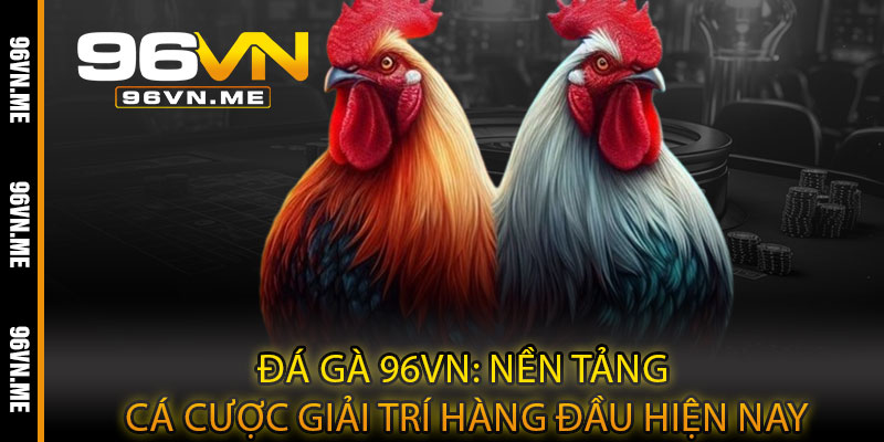 Đá Gà 96VN: Nền tảng cá cược giải trí hàng đầu hiện nay